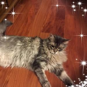 Meet your Posher, Annette